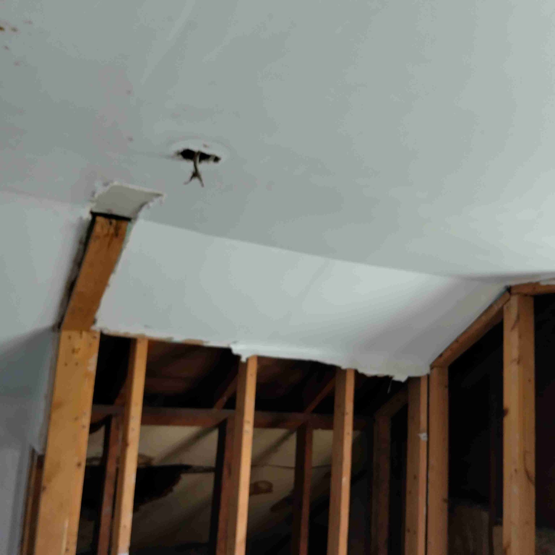 Drywall installation project by contractor in Clyde